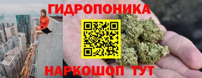 spice Кунгур